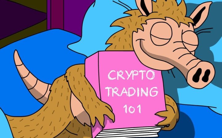 الفرصة الأخيرة لشراء عملة سنورتر (Snorter-SNORT) مع تبقي 24 يوماً فقط على انتهاء اكتتابها