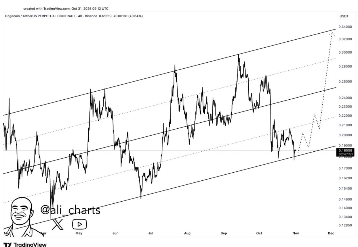 سعر زوج DOGE/USD يختبر الحد الأدنى لقناته السعرية