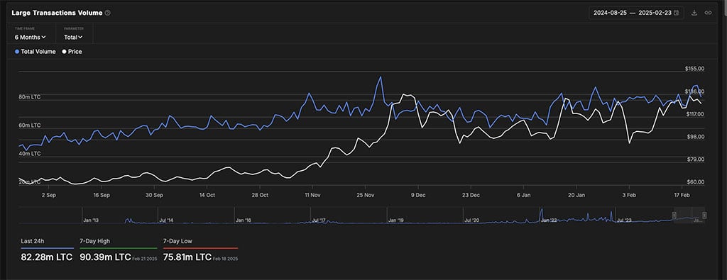 Litecoin Market Update: Bearish Trends, Whale Moves and ETF Hopes