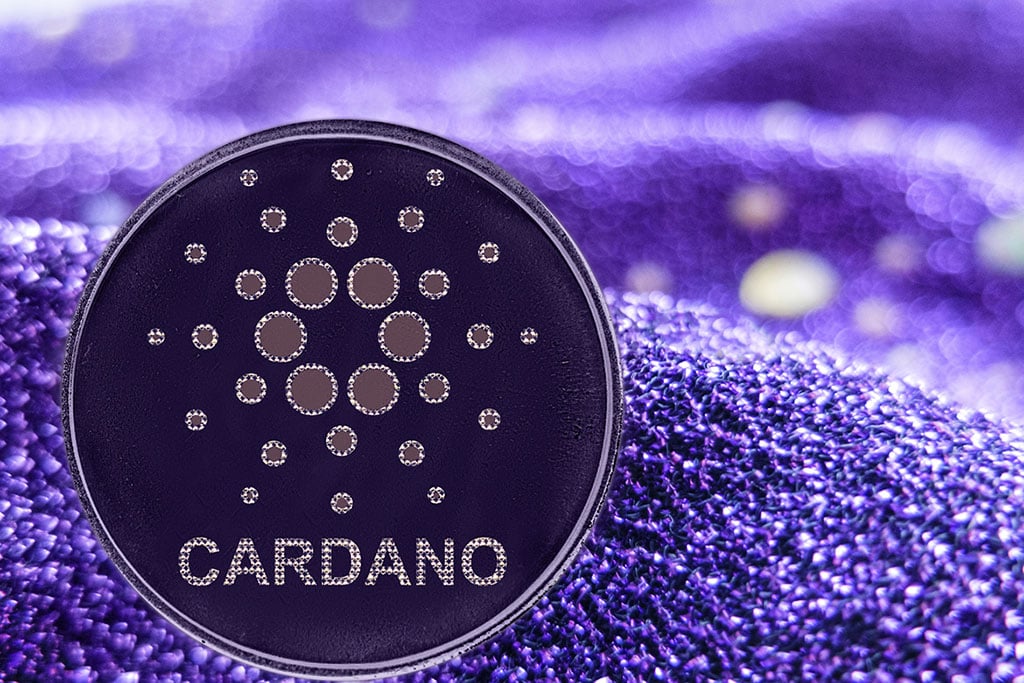Cardano (ADA) Price Crashes 23% Moving in Oversold Territory, Is Bounce Back Coming?