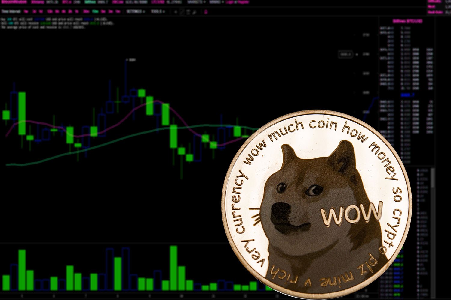 Dogecoin Whales Scoop 110M DOGE: Is $0.30 Next?