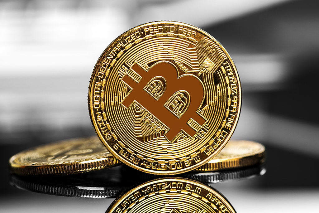 Neptune Digital Strengthens Crypto Holdings with Bitcoin (BTC), Dogecoin (DOGE) Purchase