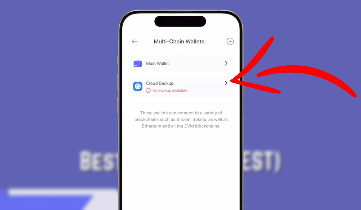 Backup sichern Best Wallet