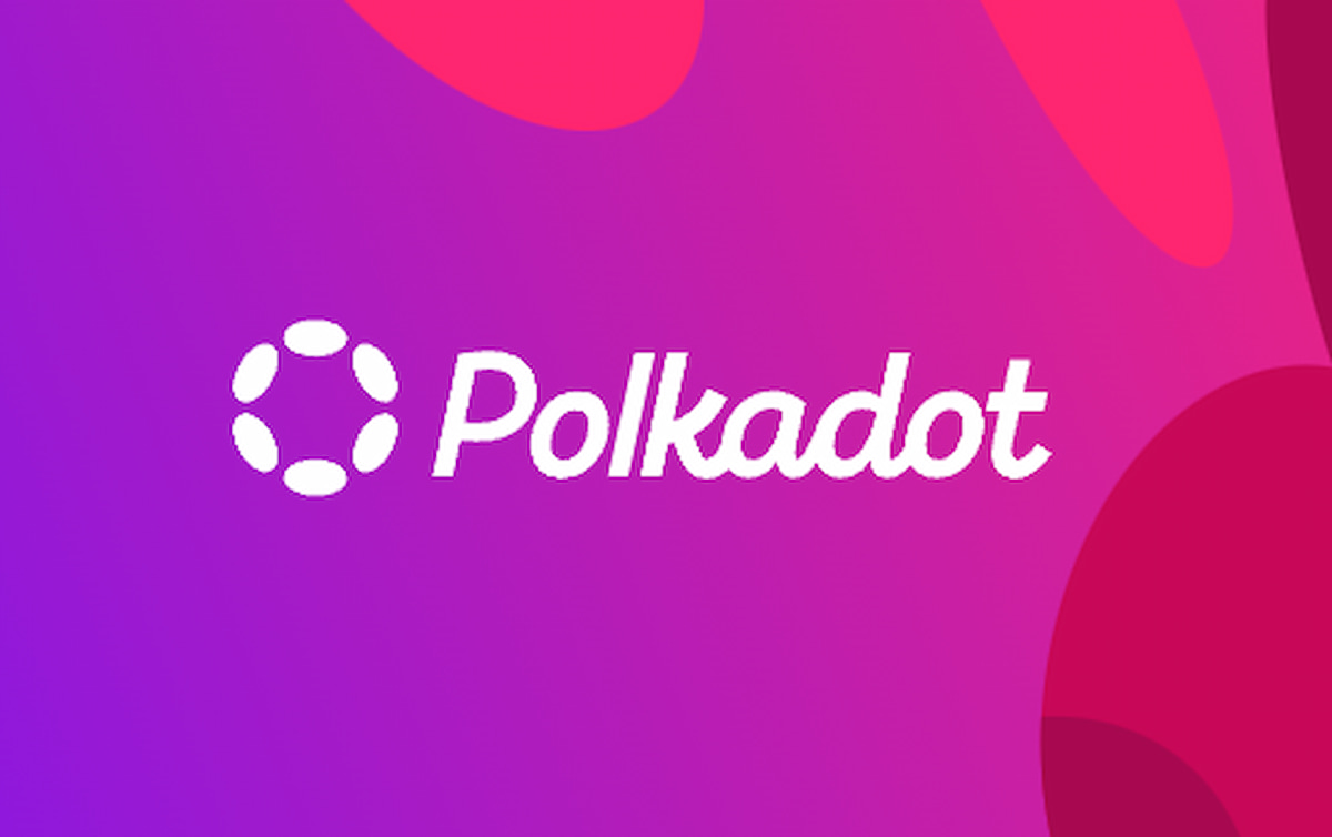 Polkadot 2025