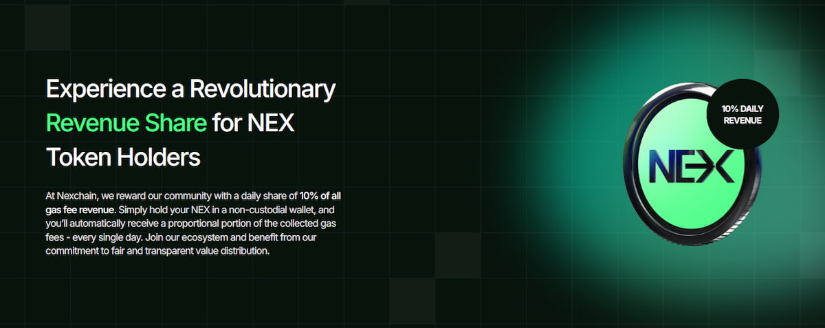 Was sollte man beim Kauf von Nexchain Coin beachten