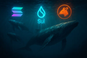 Darum setzen Wale derzeit auf diese 3 Altcoins