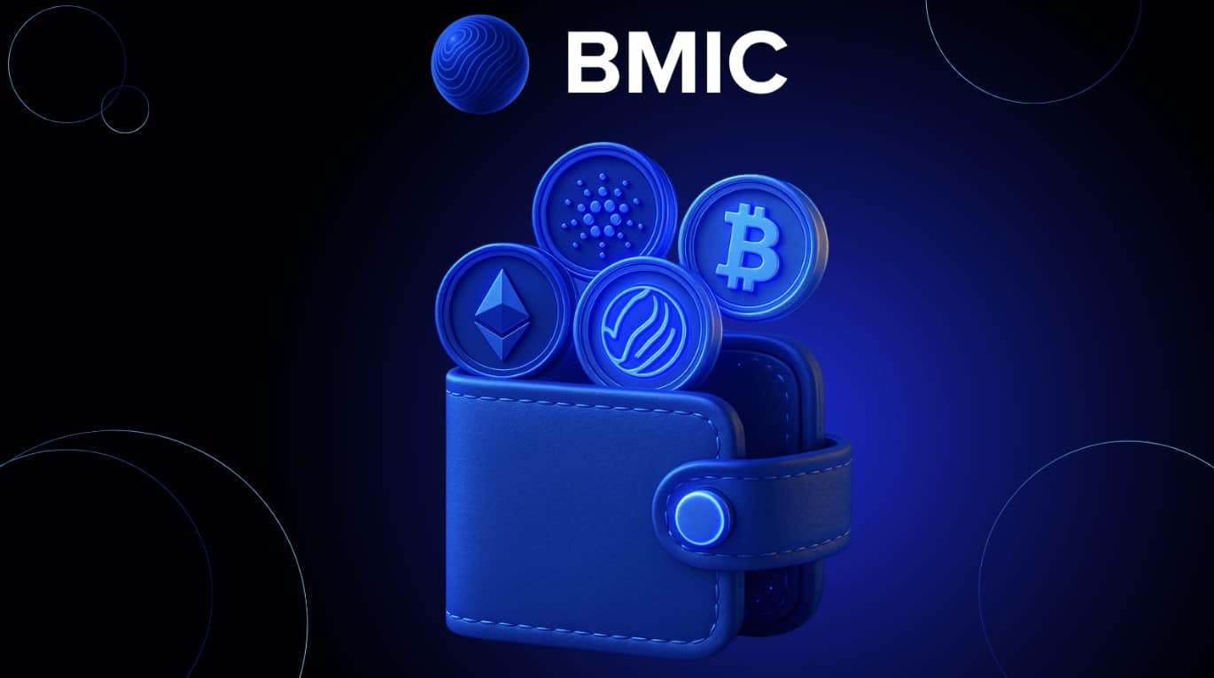 BMIC krypto wallet