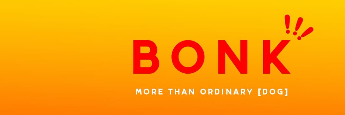 memecoins de solana bonk