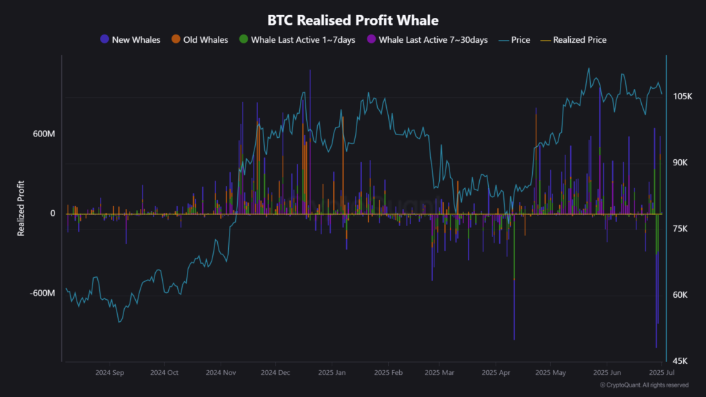 Actividad de las ballenas de bitcoin.