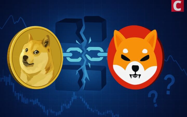 De DOGE a SHIB: ¿Por qué se desploman hoy las meme coins?