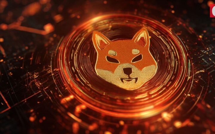 Shiba Inu en modo de rescate mientras la tasa de quema se dispara un 1.431%