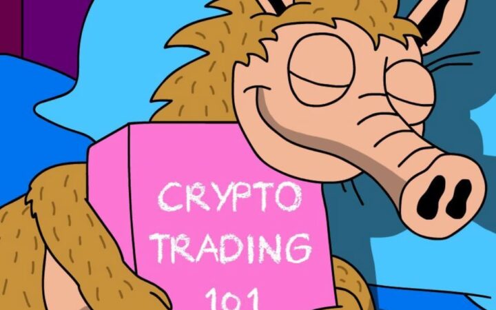 Cuenta atrás hacia el lanzamiento: Solo 25 días para adquirir Snorter Bot Token