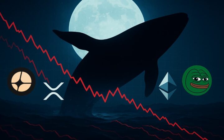 Una ballena ‘anti-CZ’ acumula 100 millones apostando en corto