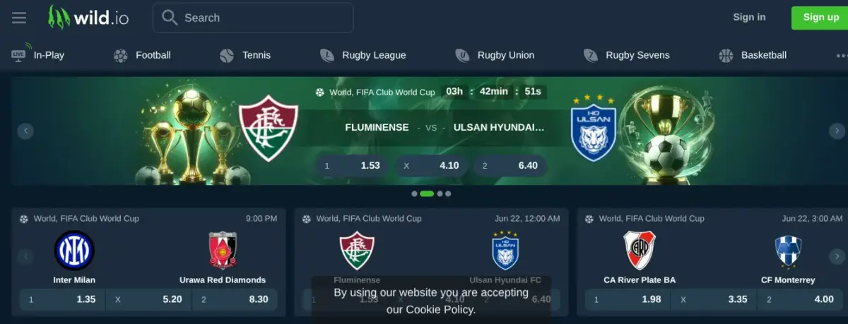 Wild.io crypto site paris sportif homepage