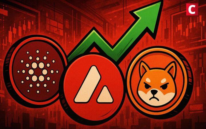 Focus sur les altcoins durables et à fort potentiel pour 2025