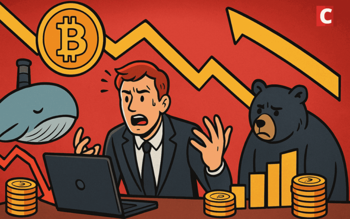 Vente massive de 24 000 BTC : le krach Bitcoin est-il lié aux HODlers ?