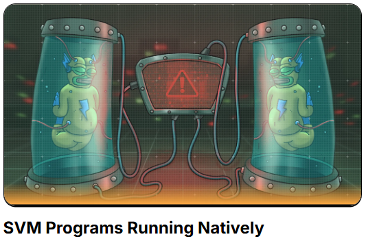Programmes SVM exécutés en mode natif