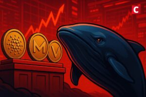 Les 3 altcoins secrets du prochain bull run : encore hors de portée des baleines