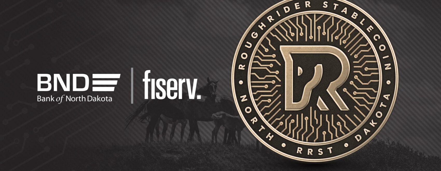 Fiserv dakota du nord
