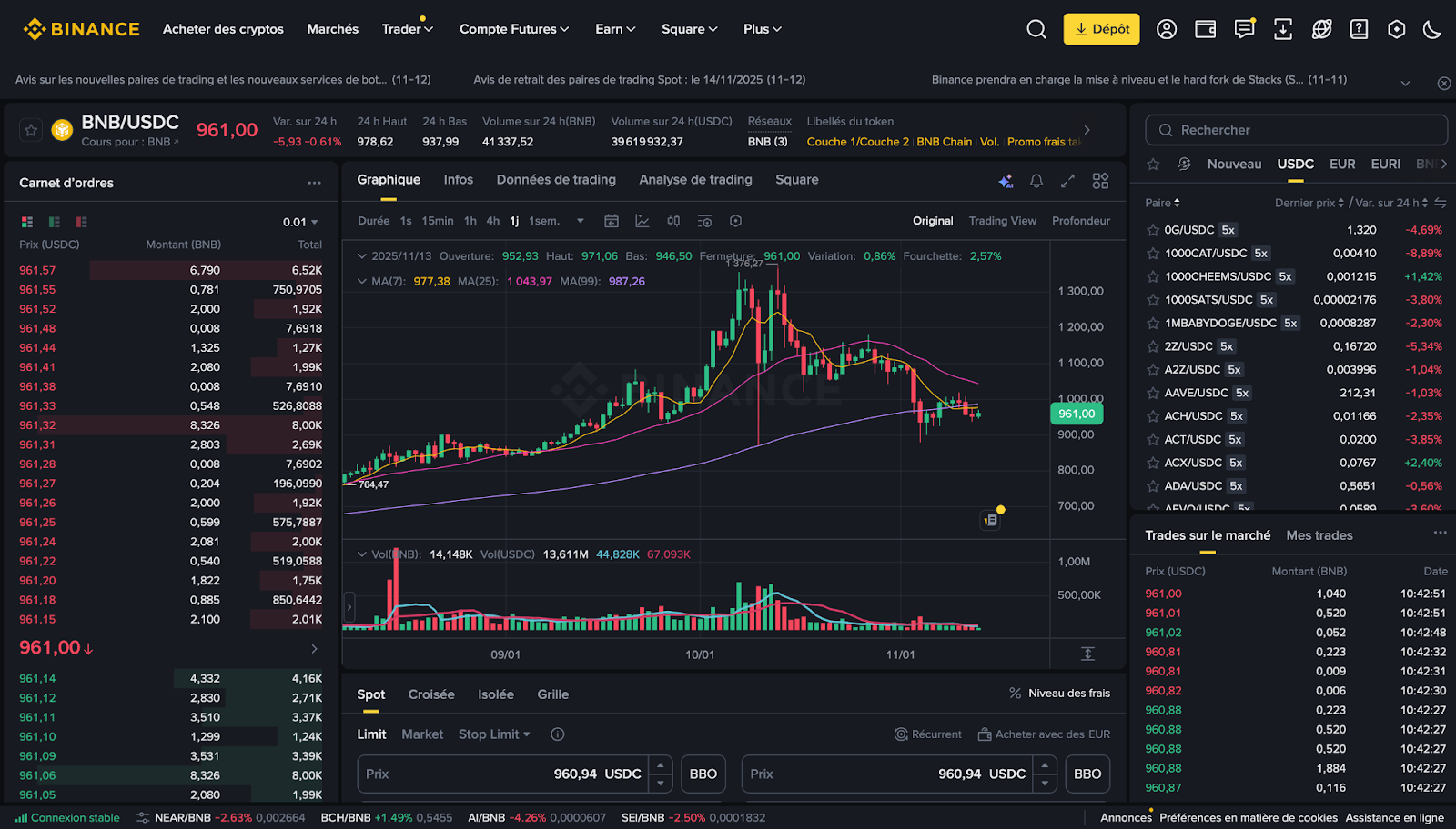 Binance Coin (BNB)