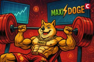Le prochain Dogecoin n’est pas celui que vous croyez
