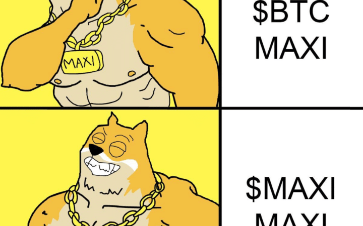 Ce Meme Coin viral à 4,5 millions de dollars bouleverse l&rsquo;ordre établi des DOG-COINS
