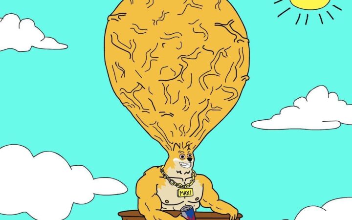 PEPE bondit de plus de 18 % et relance l’intérêt pour les meme coins, Maxi Doge accélère sa prévente