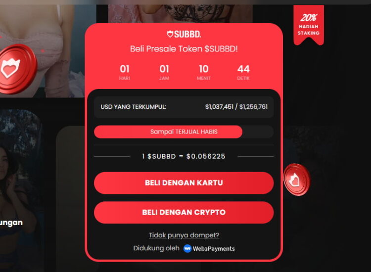 Hubungkan Wallet ke Situs Resmi Presale
