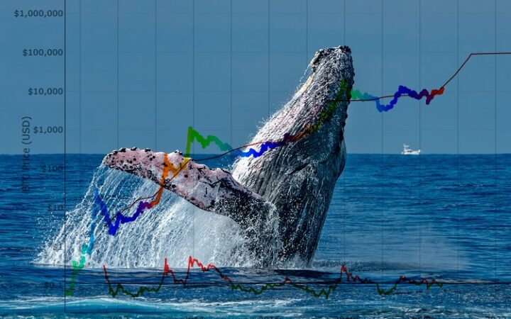 Whale Serbu Ethereum, Solana, dan Chainlink: Tapi Bitcoin Hyper Justru Jadi Kartu As Berikutnya?