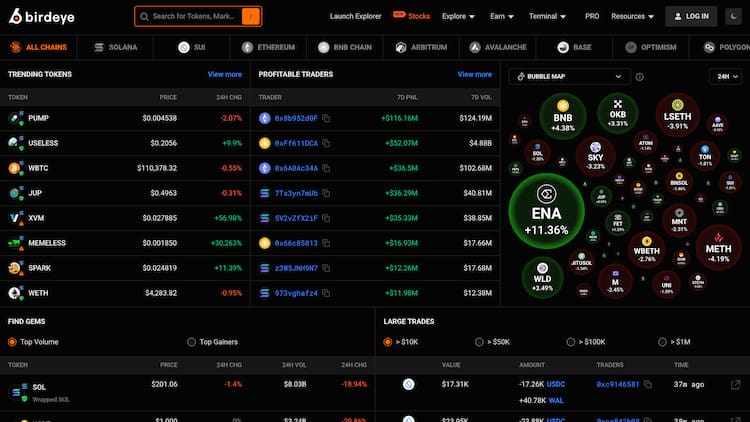 birdeye Analisis Data On-Chain