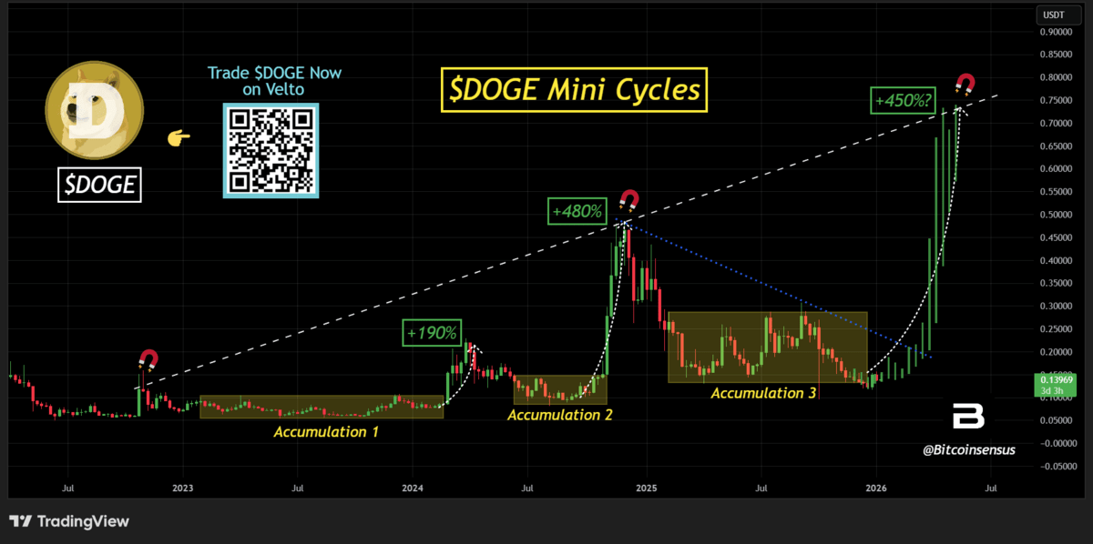 Doge mini cycle