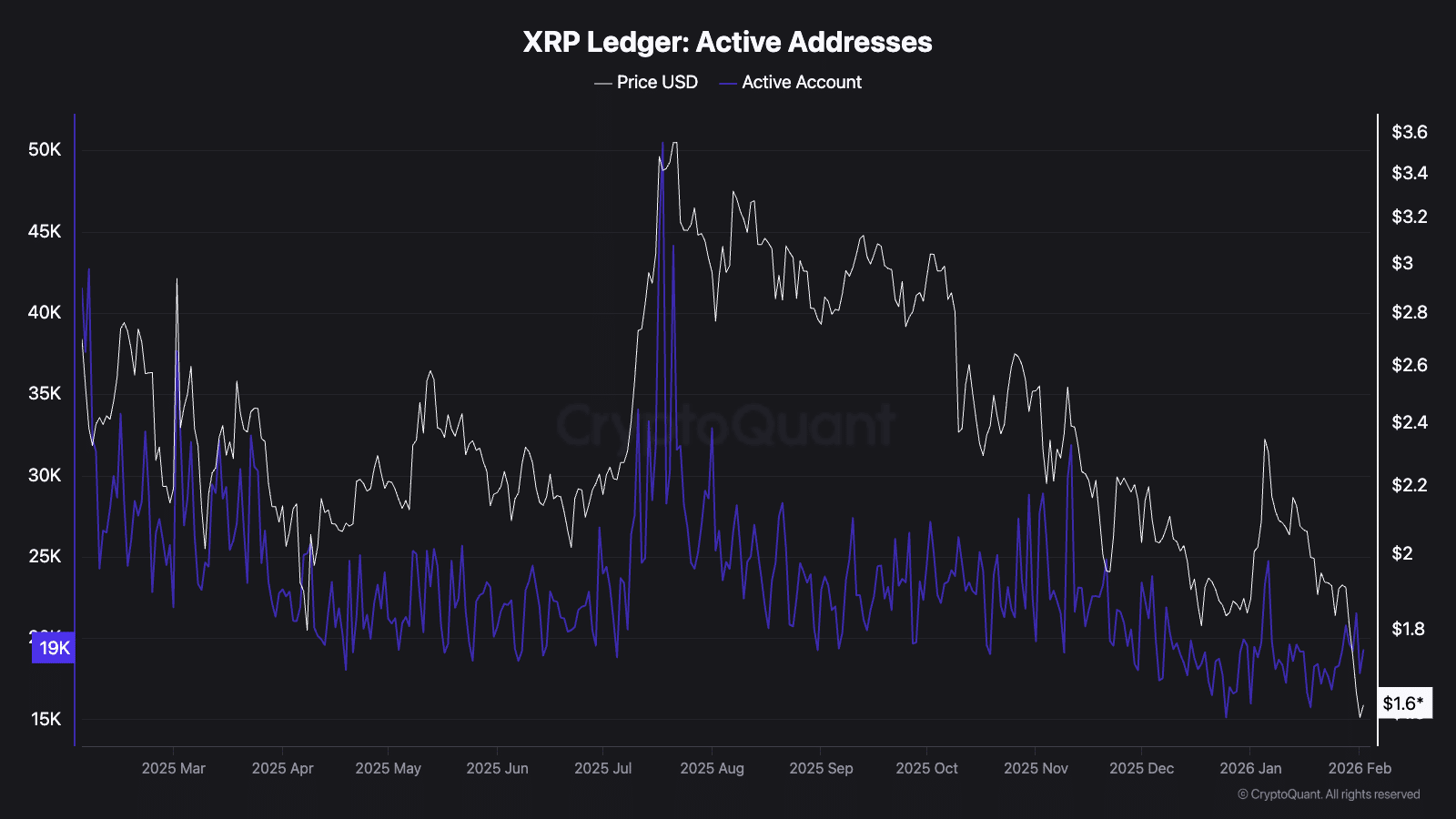 XRP Ledger