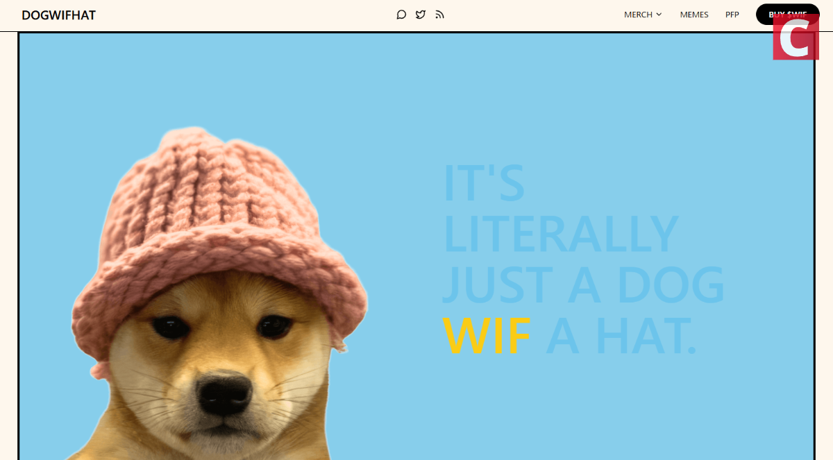 WIF公式サイトTOP