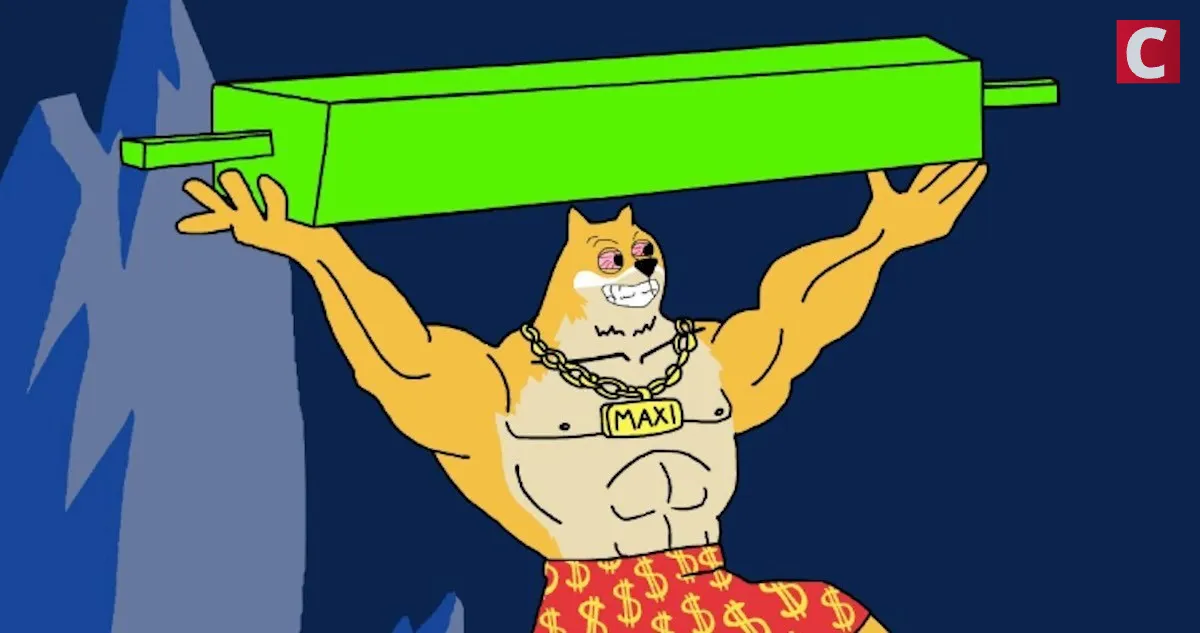 マキシドージ イメージ 20250908