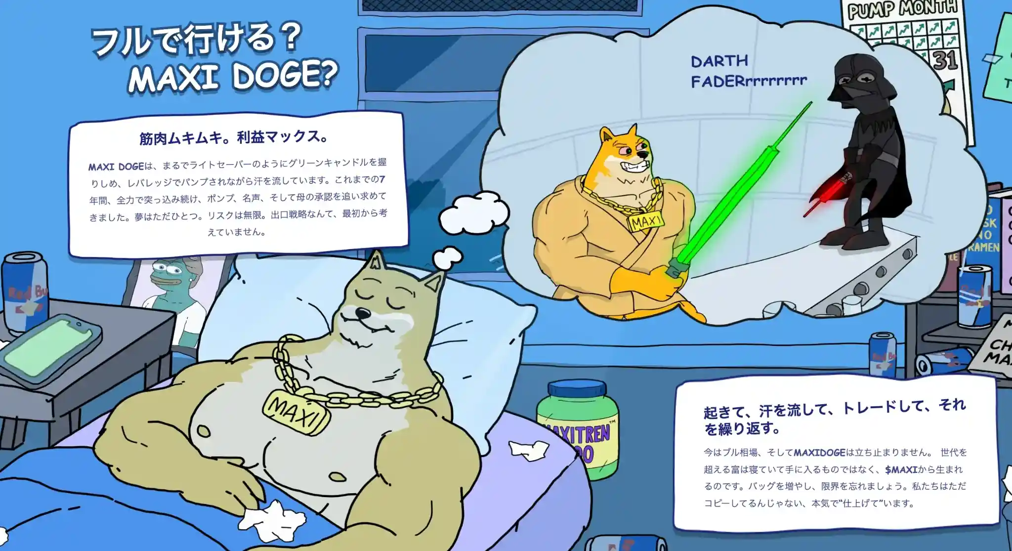 Maxi Dogeプロジェクトの概要が説明されている