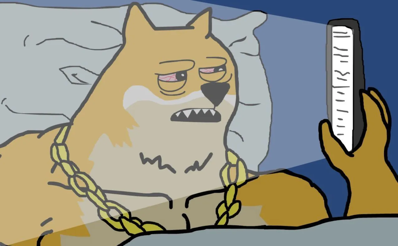 Maxi Dogeが暗闇でスマホを操作している様子