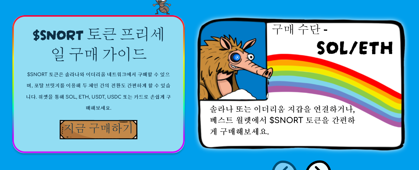 스노터 토큰 프리세일 구매 방법