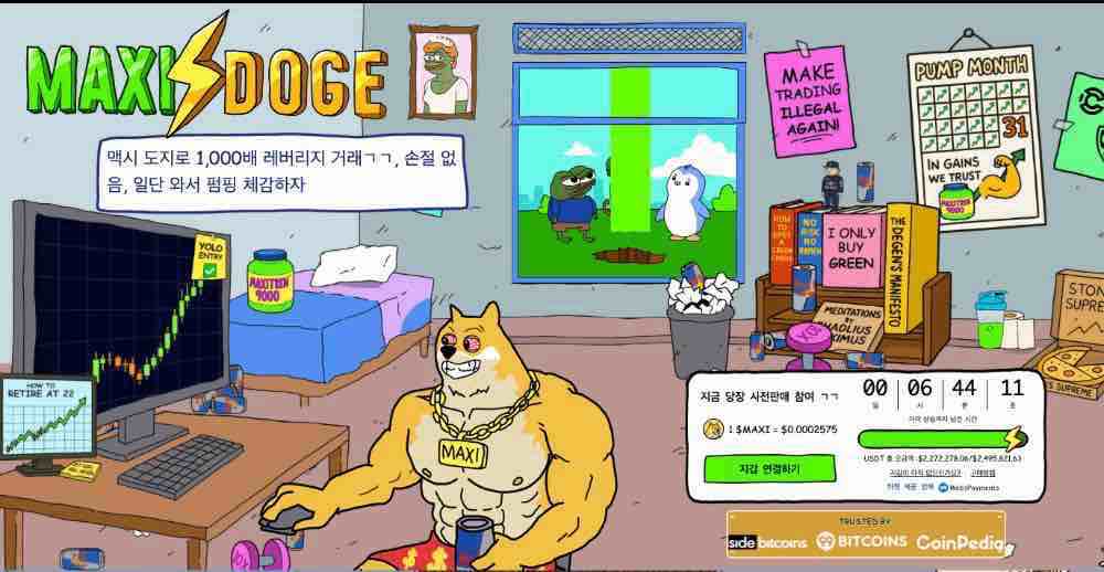 맥시 도지 스테이킹 플랫폼