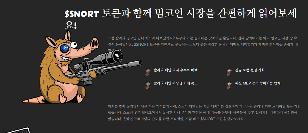 스노터 토큰 사전 판매 참여하기