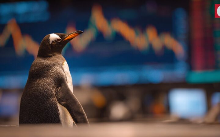 퍼지펭귄(PENGU) 조정 국면… 전문가 ‘매수 구간’ 분석