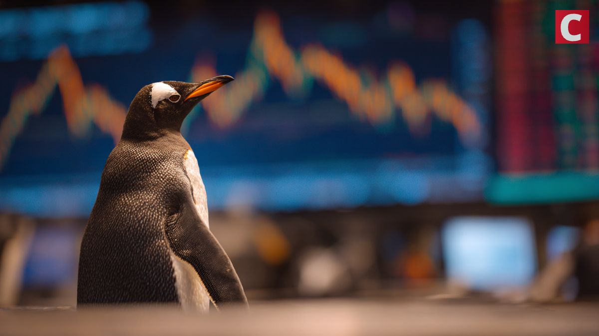 퍼지펭귄(PENGU) 조정 국면… 전문가 ‘매수 구간’ 분석