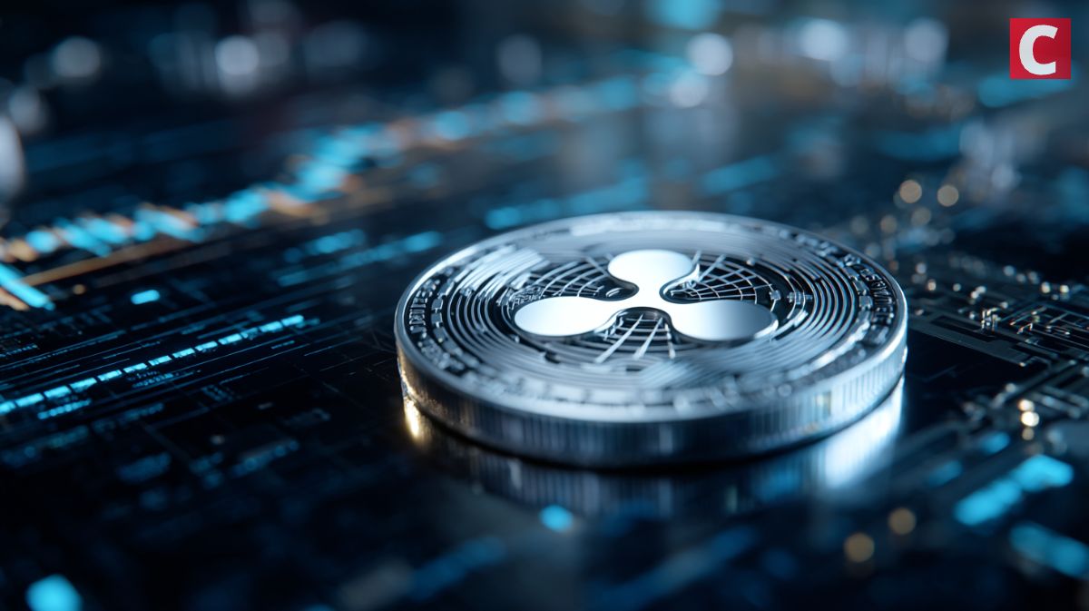 리플 가격(XRP) 3$ 아래로 하락… 전문가 리플 전망은?