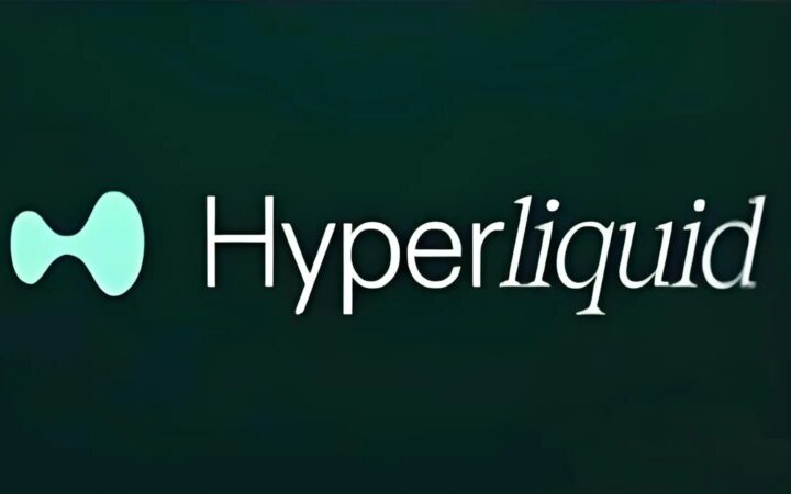 HYLQ 스트래티지, 하이퍼리퀴드(HYPE) 자산 보유 전략 채택… 구매 방법은?
