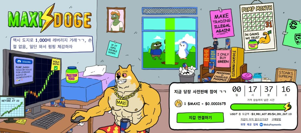 맥시 도지 사전 판매