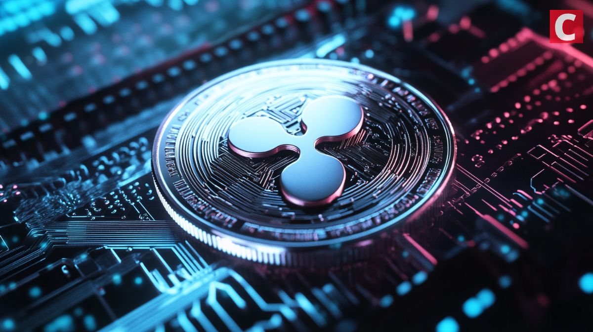 XRP ETF 나스닥 상장…고래들의 선제 매수 정황