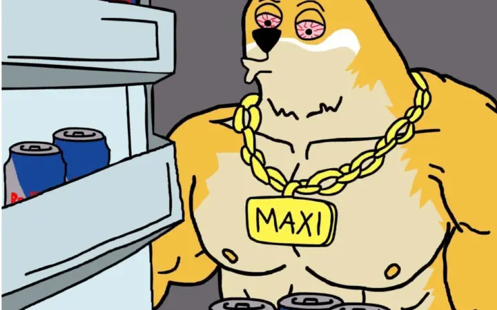 ‘세계 최고 IQ’ 김영훈, 도지코인 지지… 단기 수익 세력은 맥시 도지로 이동 중