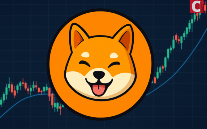 시바이누 고래, SHIB 토큰 1조 개 이상 거래소 이동… 시바이누 코인 가격 향방은?