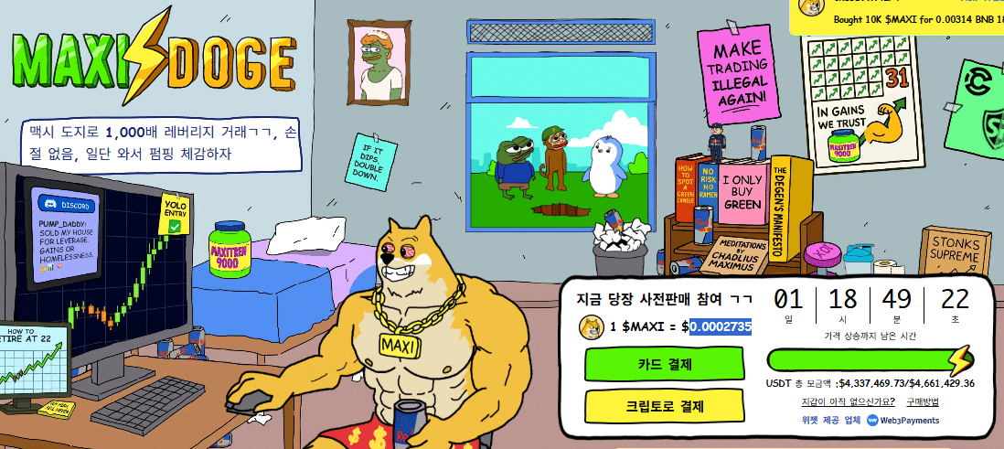 맥시 도지 사전 판매