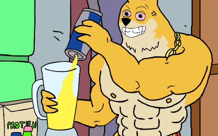 맥시 도지, DOGE 밈으로 승부… ‘실사용 없는’ 밈코인 전략이 먹혔다