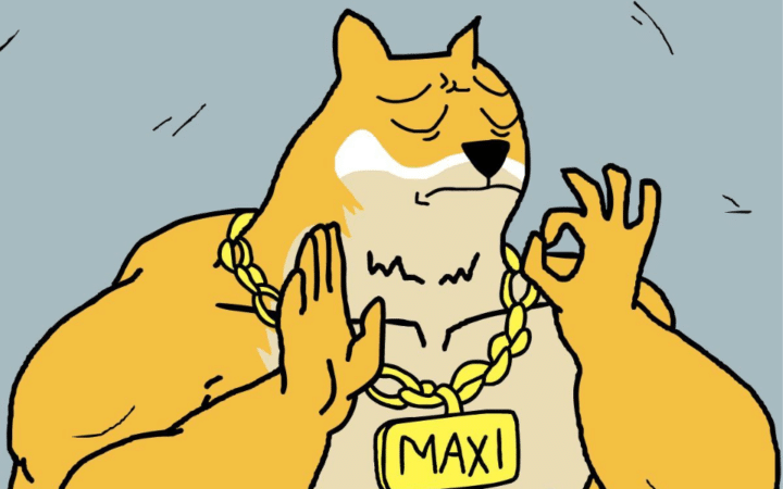 SPX6900 분할 매수 전략, 단순 보유(HODL) 압도했다 – 2026년 유망 밈코인 추천